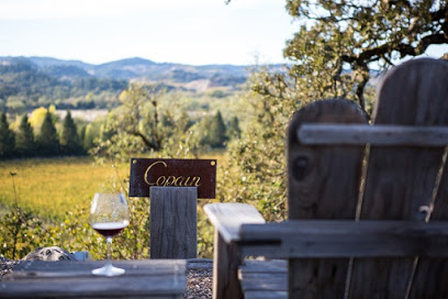 Copain Wines