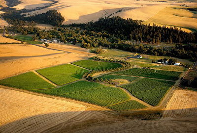 FIGGINS Winery