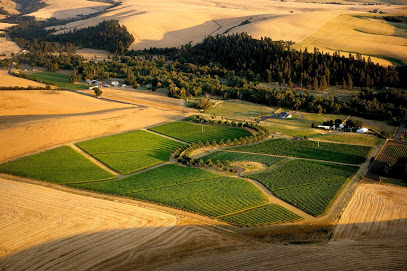 FIGGINS Winery