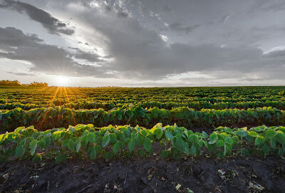 United Farm & Ranch Management (UFARM)-Columbia, MO