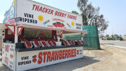 Thacker Berry Farms