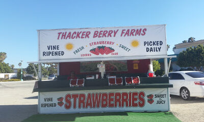 Thacker Berry Farms - Strawberry Stand on PCH
