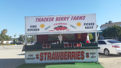 Thacker Berry Farms - Strawberry Stand on PCH