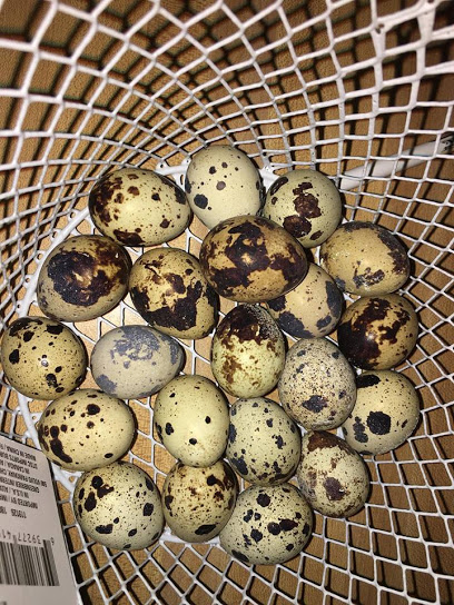 James River Quail Farm