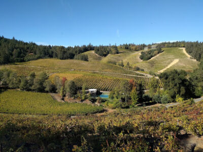 Diamond Creek Vineyards
