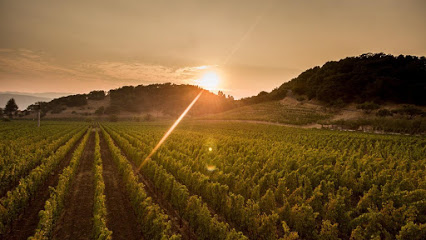 Baldacci Family Vineyards