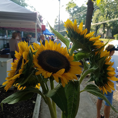 Hillcrest Farmers' market
