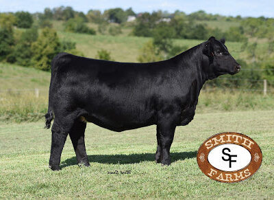 Smith Farms