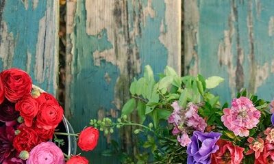 Addy's Flower Farm