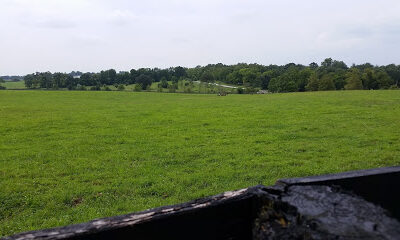 Gainesway Farm