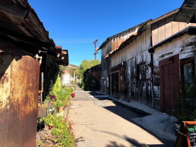 Bernardo Winery