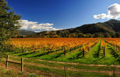 Nelson Family Vineyards