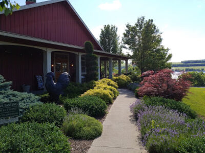 Rooster Hill Vineyards