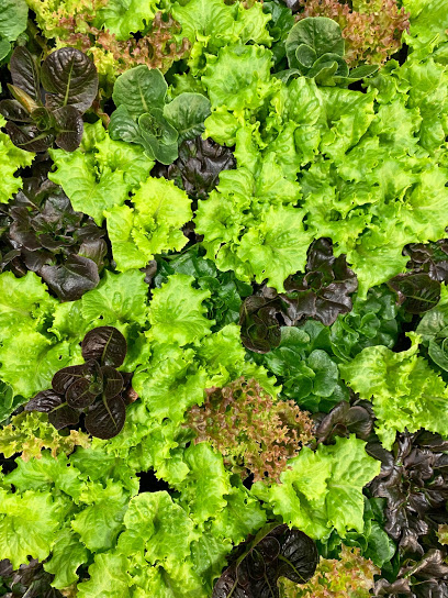80 Acres Farms