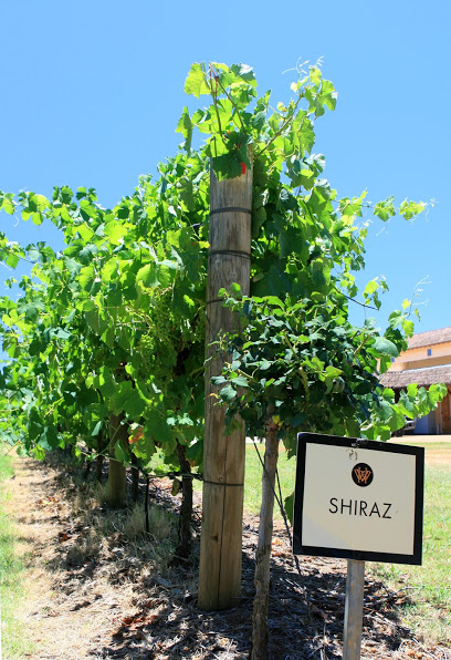 Iron Gate Winery Inc