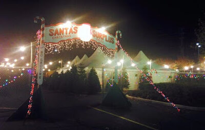Santa's Surplus Christmas Trees- Tom Dean **SOLD OUT for 2020**