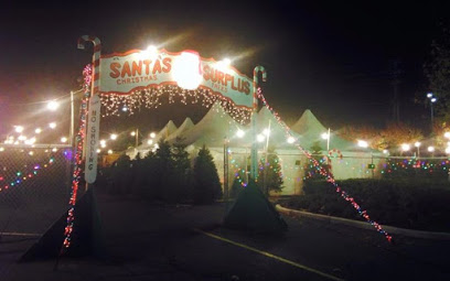 Santa's Surplus Christmas Trees- Tom Dean **SOLD OUT for 2020**