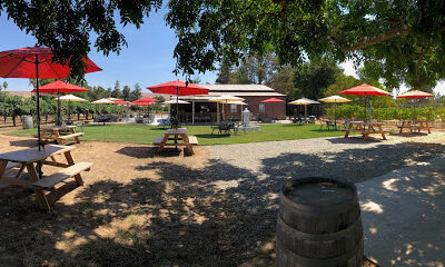 P and V Winery