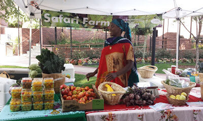 Global Gardens CSA pick-up