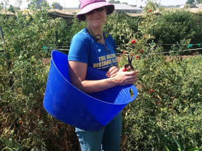 Fulfilling Fields Organic Farm