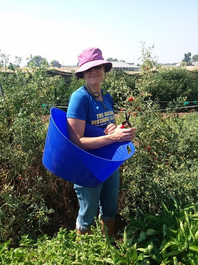 Fulfilling Fields Organic Farm