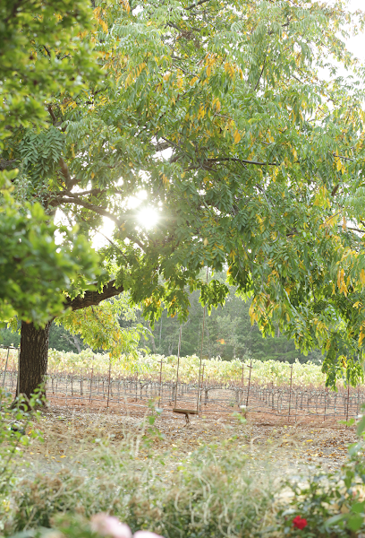 Red Thread Wines
