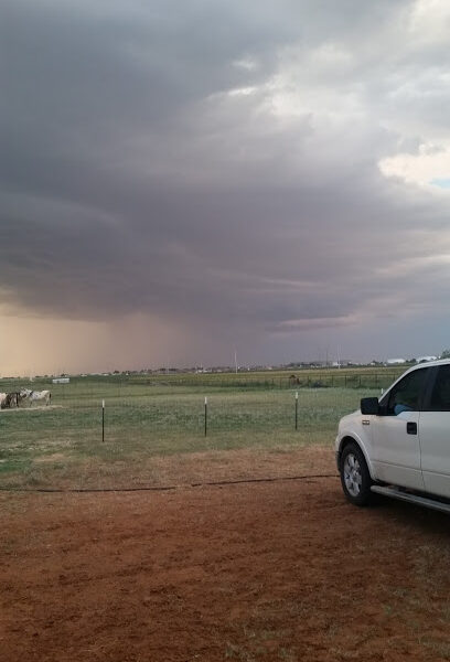 Rocking M Ranch