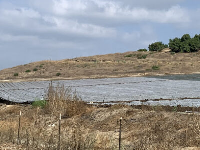 Laguna Farms