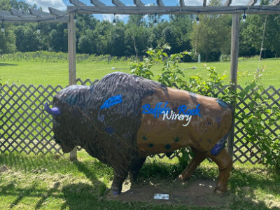 Buffalo Rock Winery