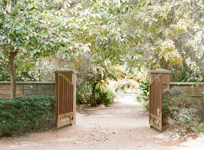 Campovida