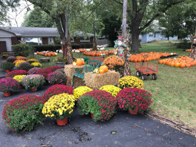 MacFarlane's Pumpkin Patch