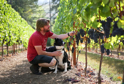 Oregon Wine LAB