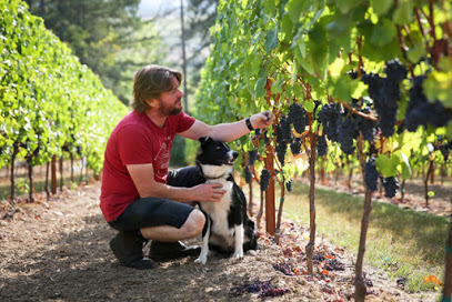 Oregon Wine LAB