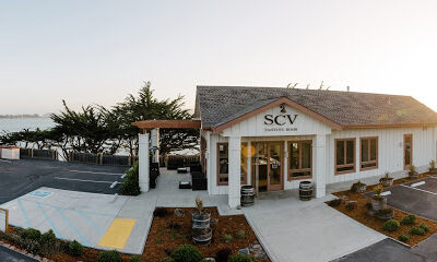 Sonoma Coast Vineyards
