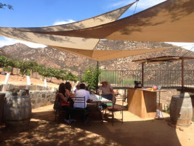 Vinos Shimul