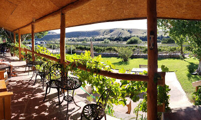 La Esperanza Vineyard and Winery