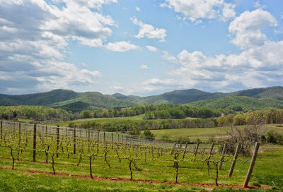 Monticello Wine Tour and Coach Co