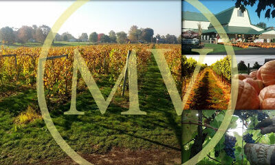 Maize Valley Winery & Craft Brewery