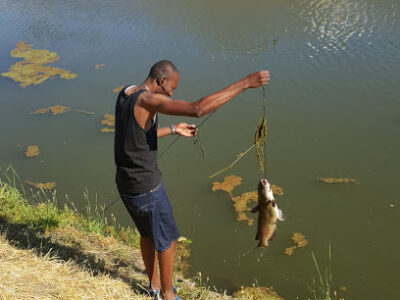 Southern Glazer's Wine & Spirits, LLC