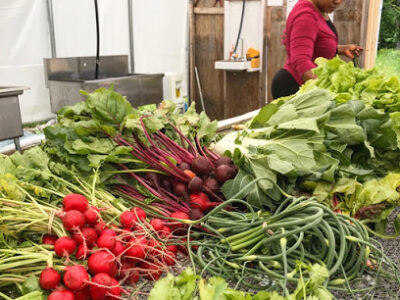 Fresh Start Farms NH (Office)