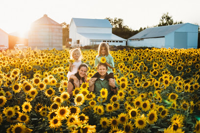 Harps Harvest