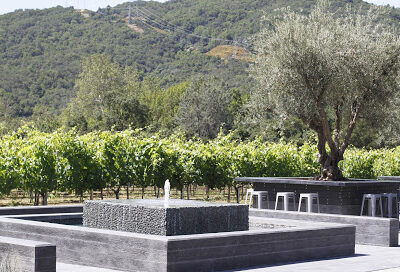 MOHI Wines