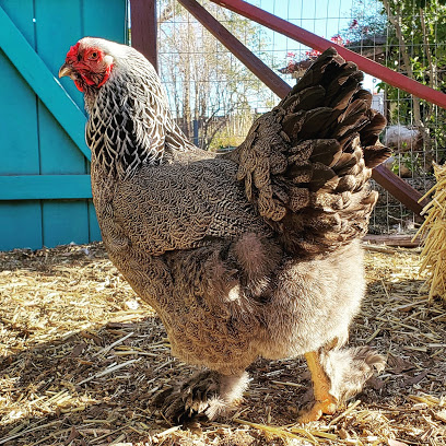 Inspire Farms - Happy Healthy Organic