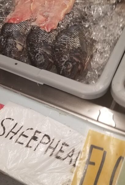 Family Seafood