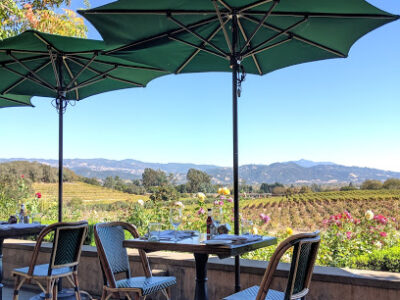 Rustic at Francis Ford Coppola Winery