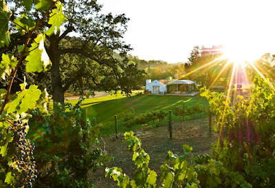 Triunfo Creek Vineyards
