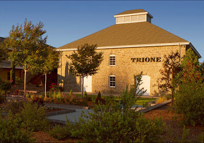 Trione Vineyards and Winery