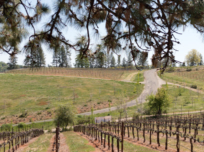Fenton Herriott Vineyards