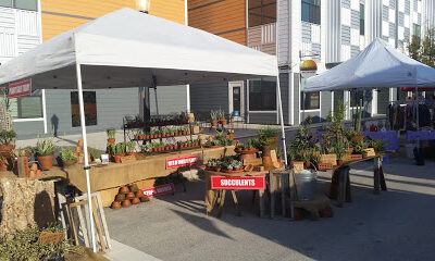 Lakeland Downtown Farmers Curb Market