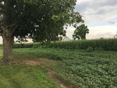Beutter Farms